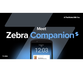 Zebra Companion - agent sztucznej inteligencji