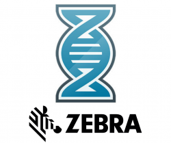 Zebra Mobility DNA